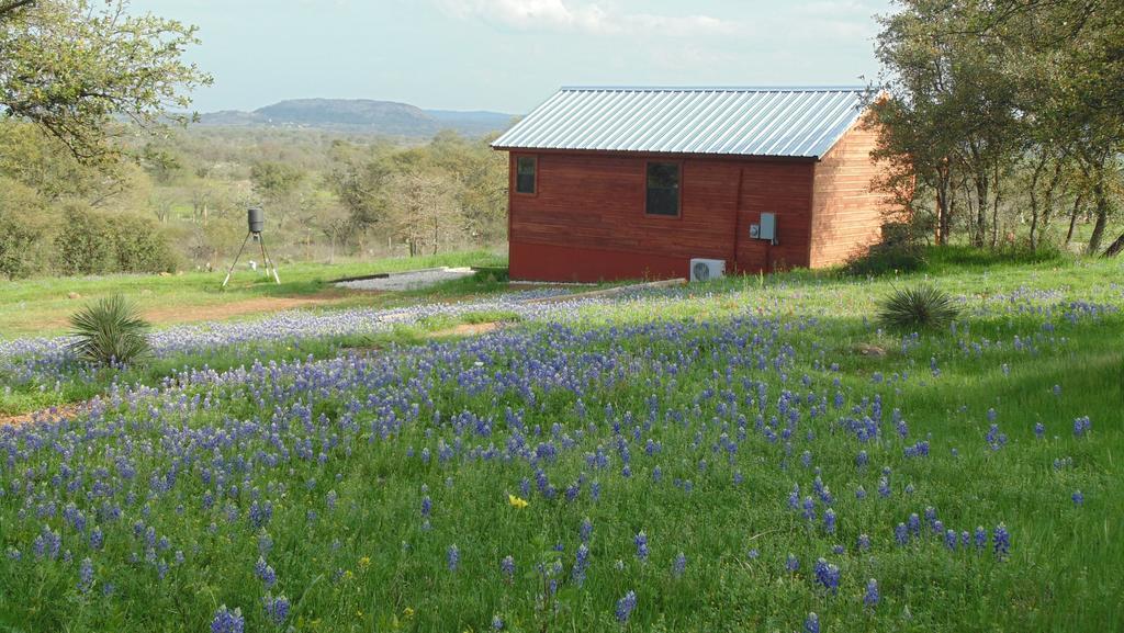 Texas T Bed And Breakfast Llano Bagian luar foto